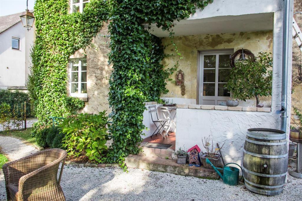 ザールブルク Weingut Dr Wagnerヴィラ エクステリア 写真