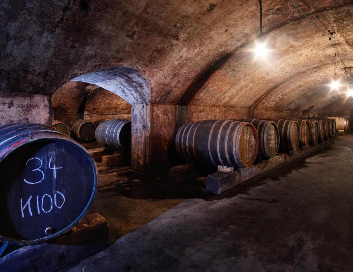ザールブルク Weingut Dr Wagnerヴィラ エクステリア 写真