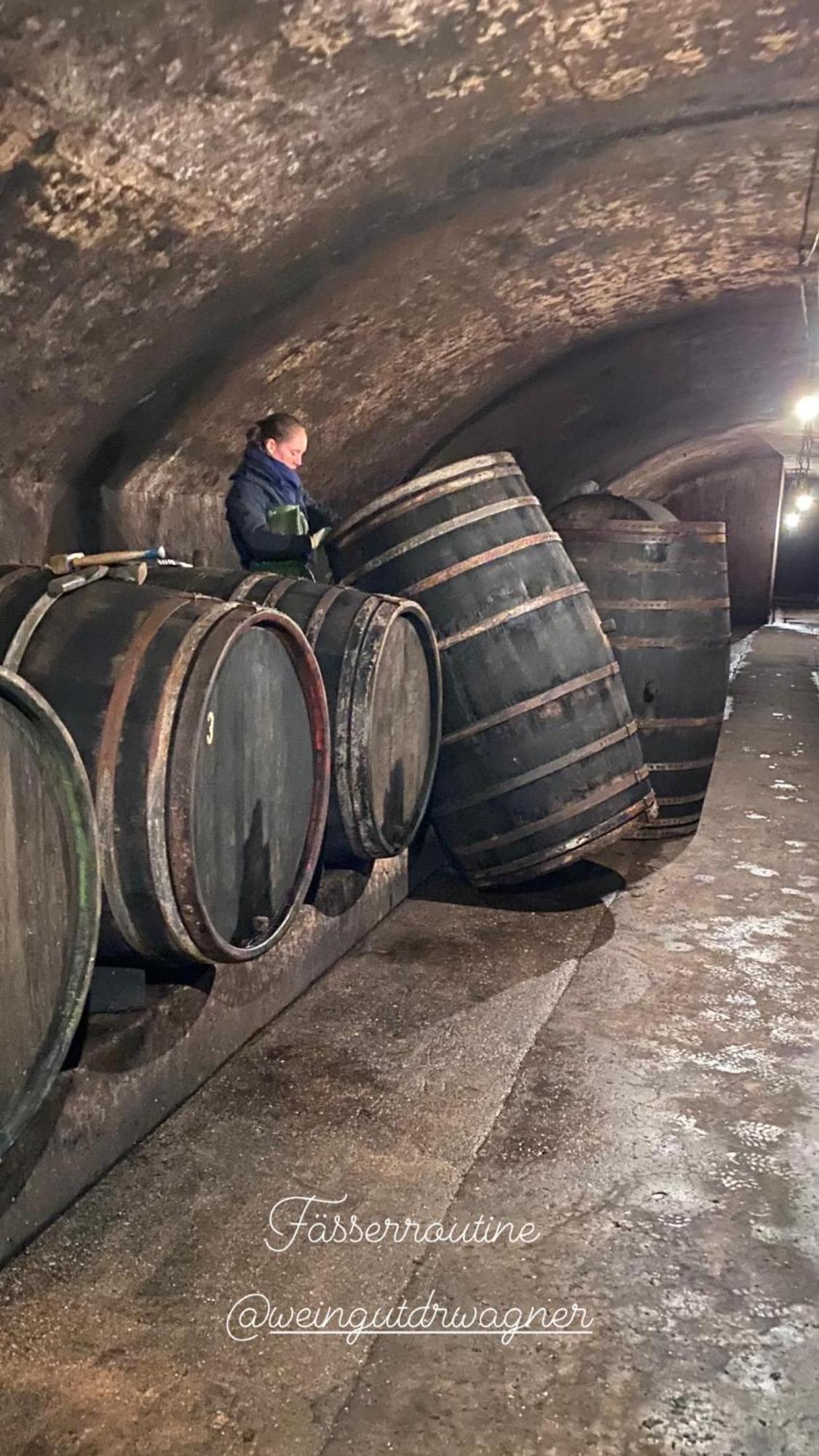 ザールブルク Weingut Dr Wagnerヴィラ エクステリア 写真
