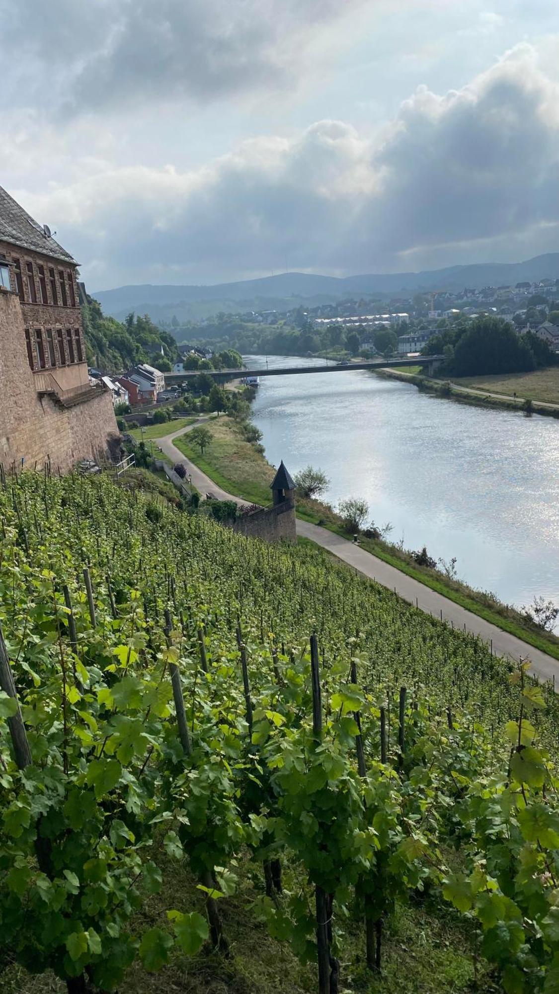ザールブルク Weingut Dr Wagnerヴィラ エクステリア 写真
